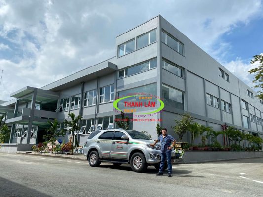 Sắp xếp, bài trí cây xanh trong nhà để thu hút vận may, tài lộc